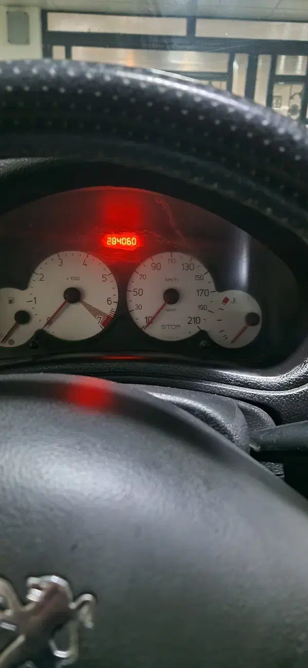 پژو 206 تیپ 2 - 1391