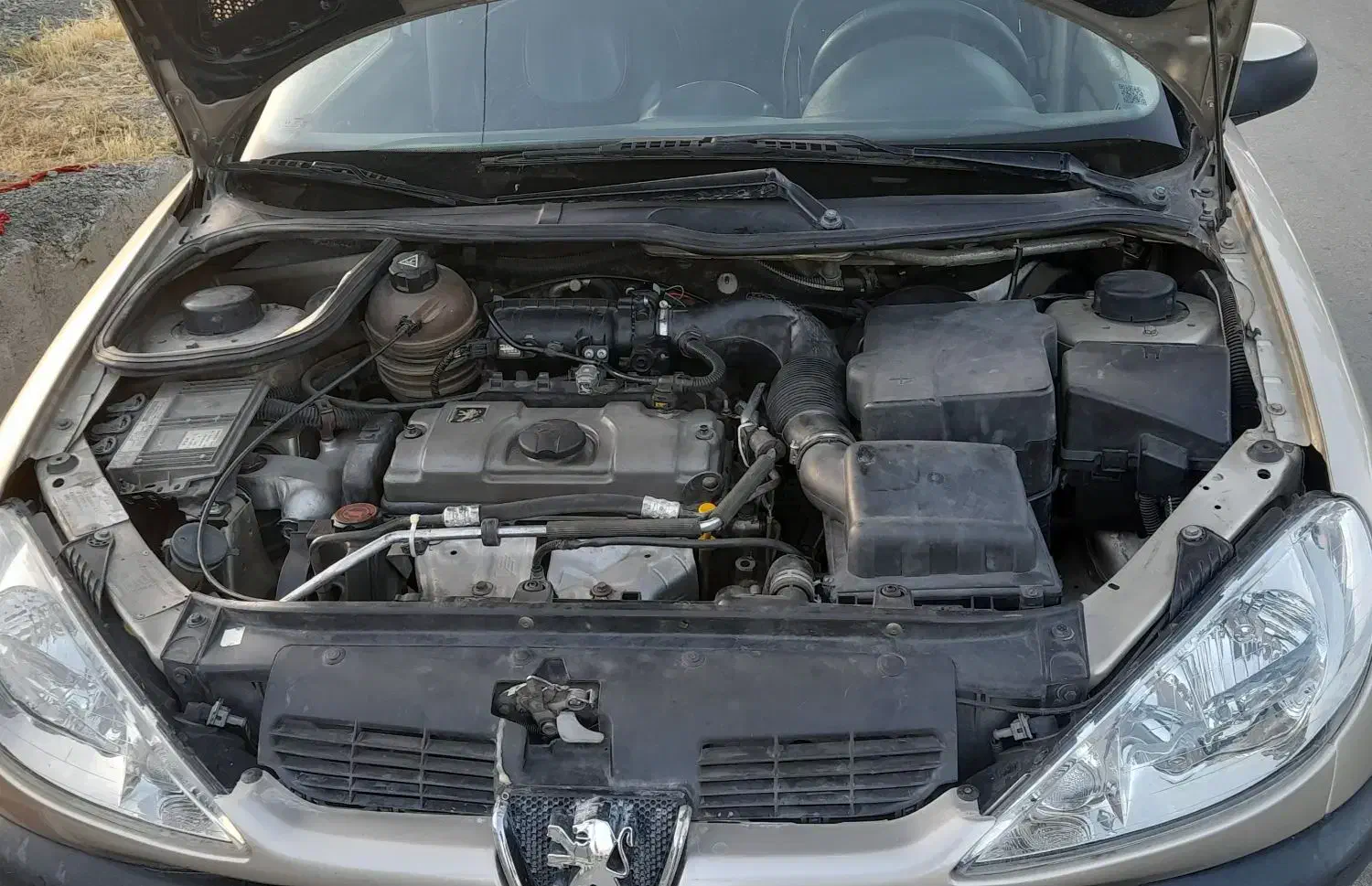 پژو 206 تیپ 2 - 1384