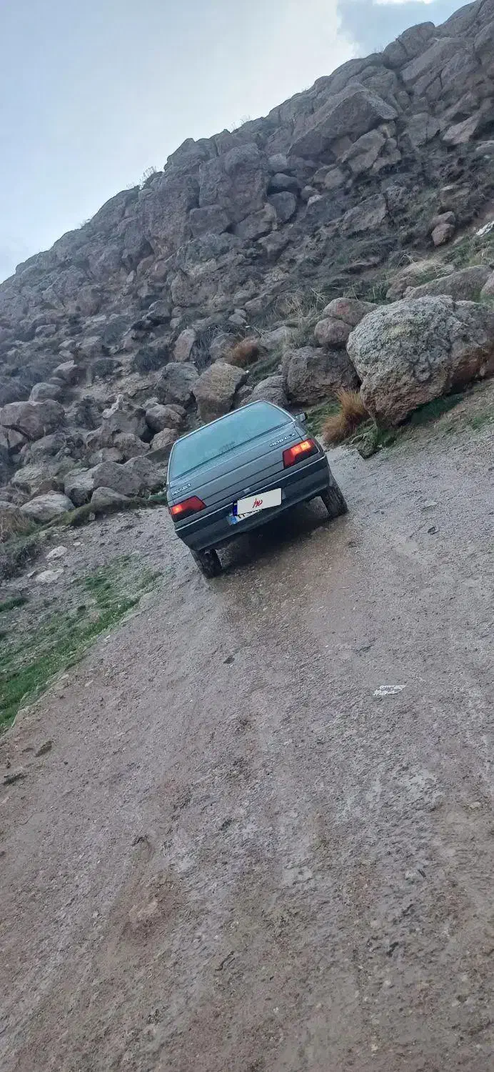 پژو 405 GLX - دوگانه سوز - 1390