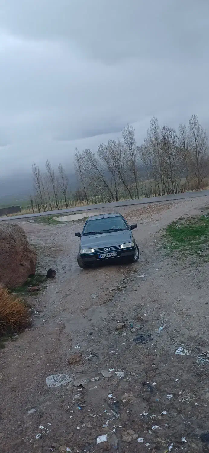 پژو 405 GLX - دوگانه سوز - 1390