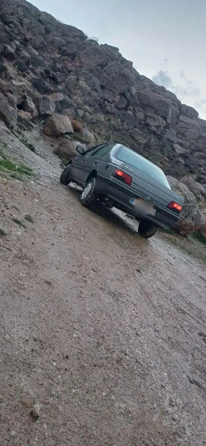 پژو 405 GLX - دوگانه سوز - 1390