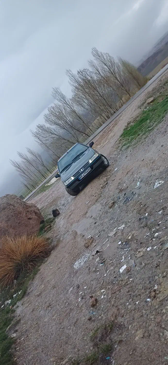 پژو 405 GLX - دوگانه سوز - 1390