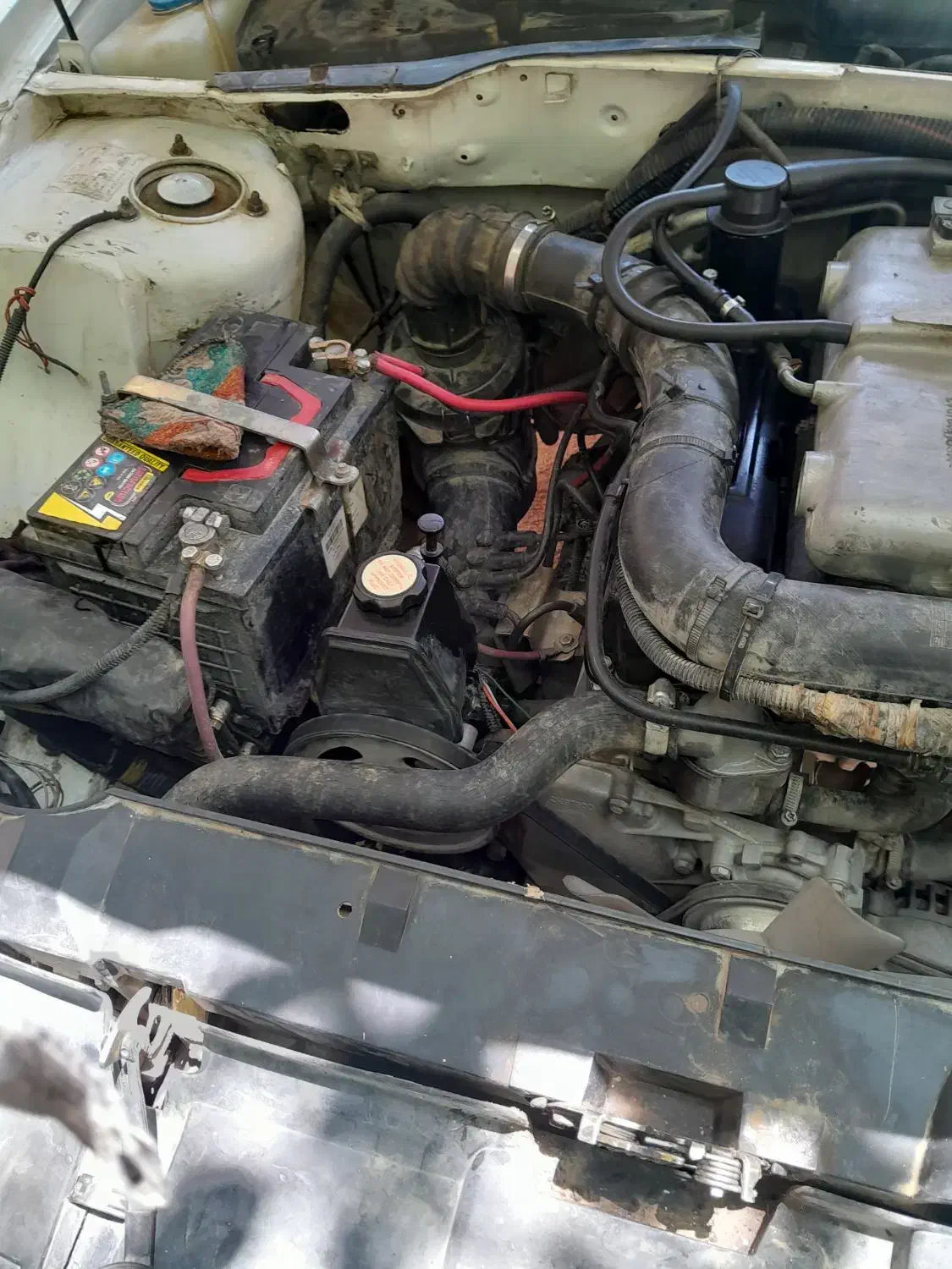 آریسان معمولی دوگانه سوز - 1396