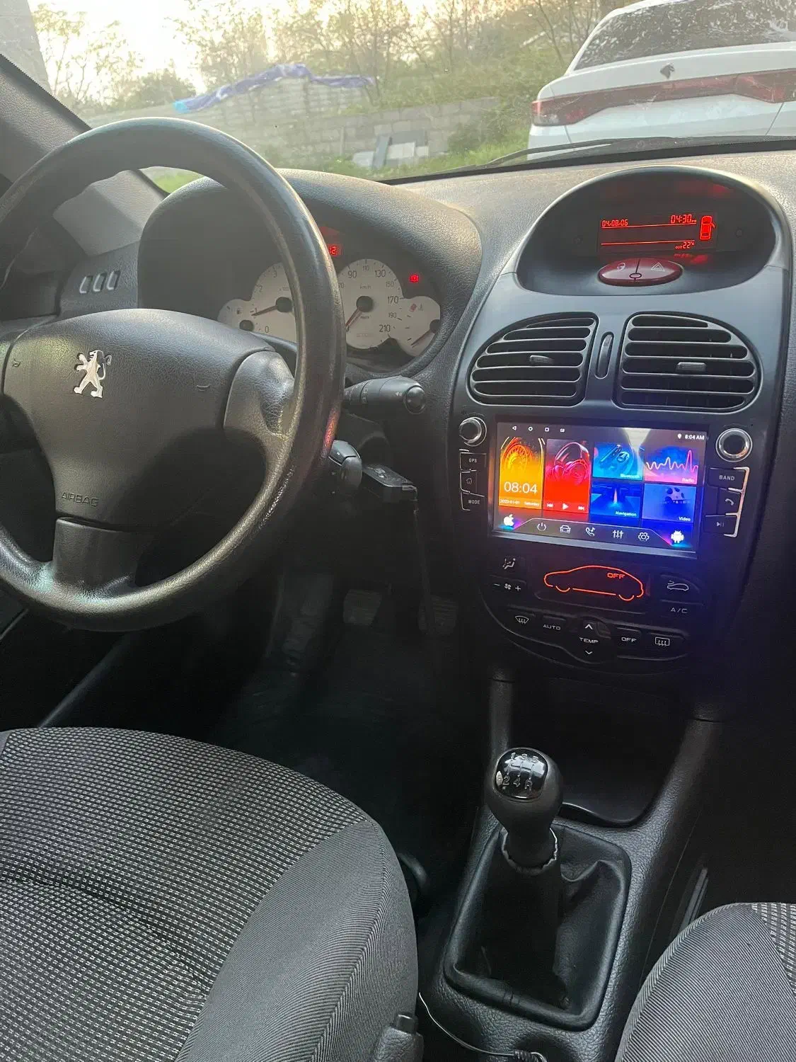 پژو 206 تیپ 5 - 1394