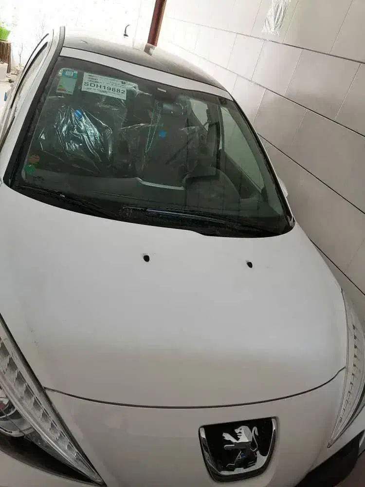 خودرو پژو، 207 آگهی ann_20905027