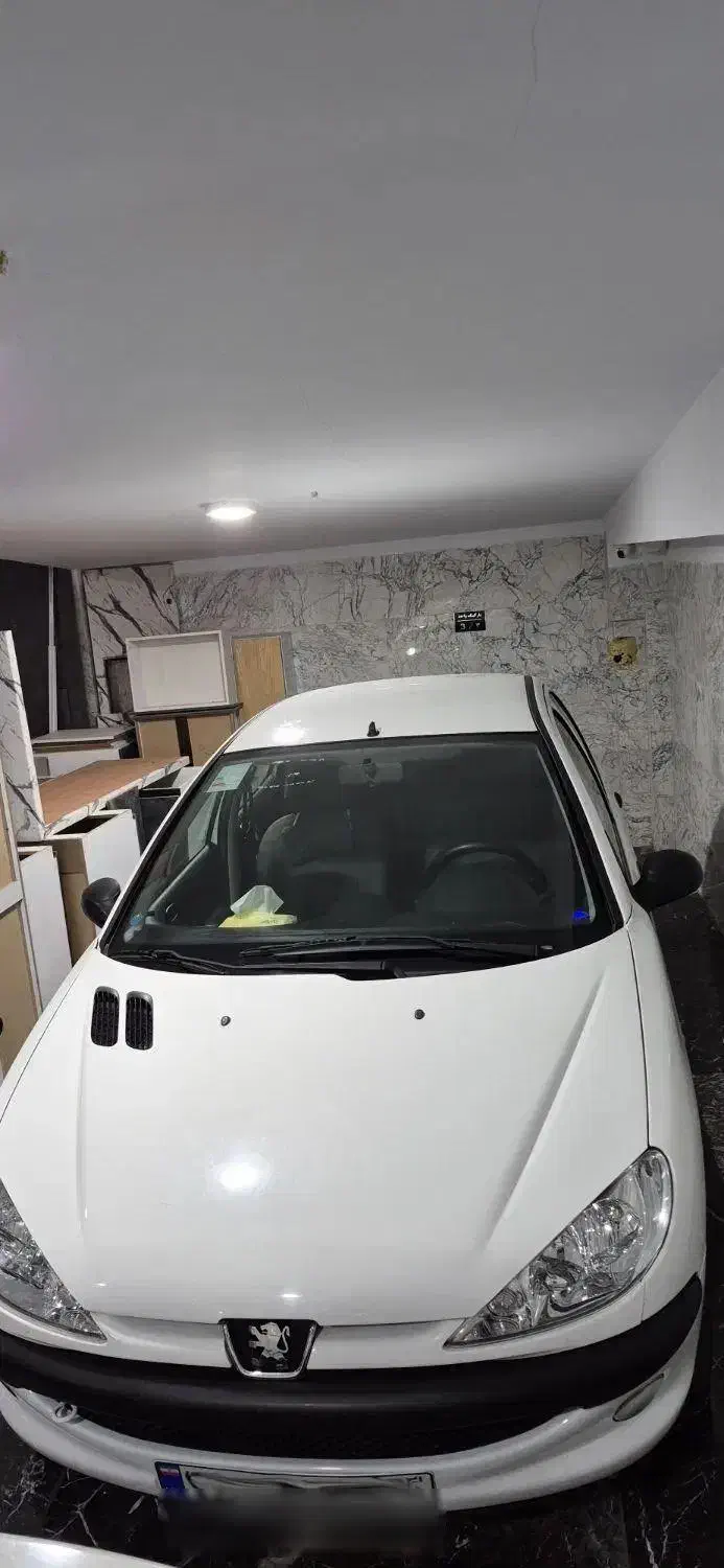 پژو 206 تیپ 2 - 1401