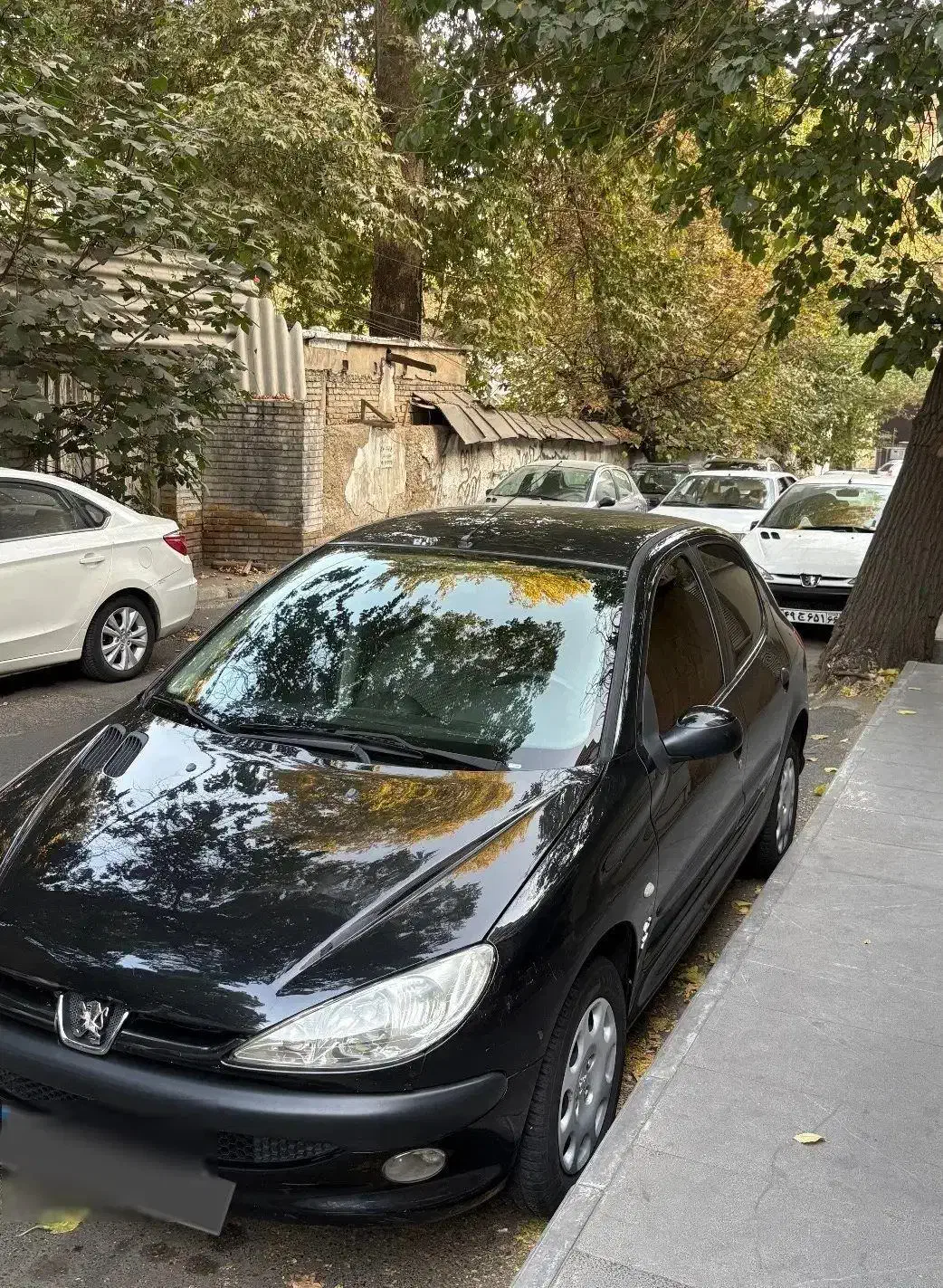 پژو 206 تیپ 5 - 1396