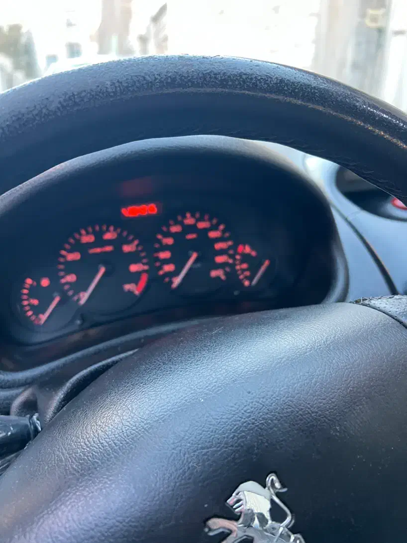 پژو 206 تیپ 2 - 1384