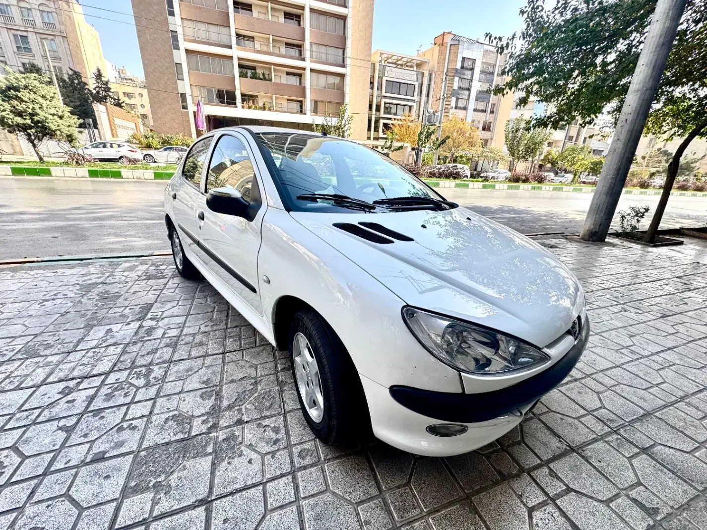 پژو 206 تیپ 2 - 1395