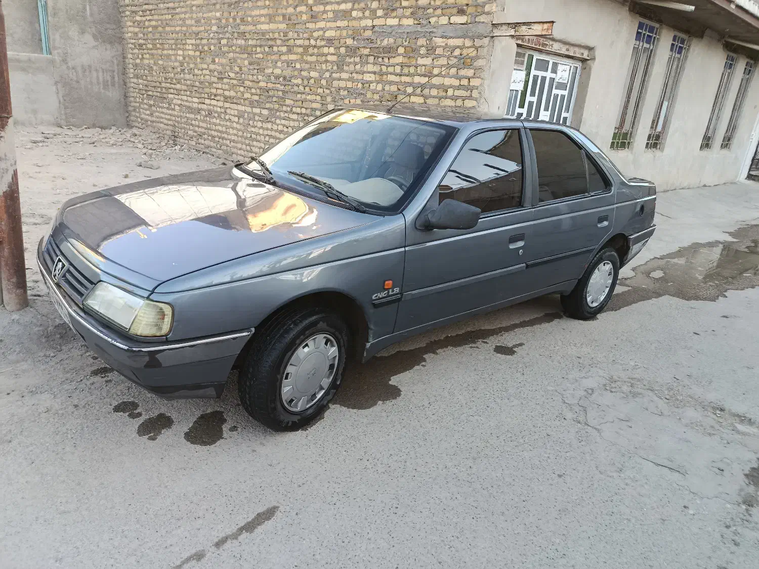 پژو 405 GLX - دوگانه سوز - 1393