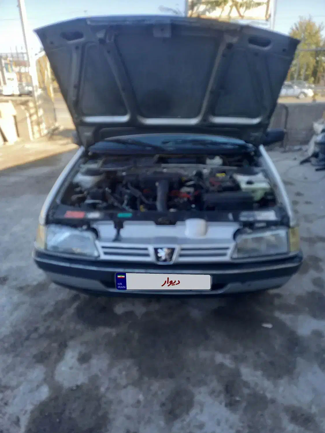 پژو 405 GLX - دوگانه سوز - 1389