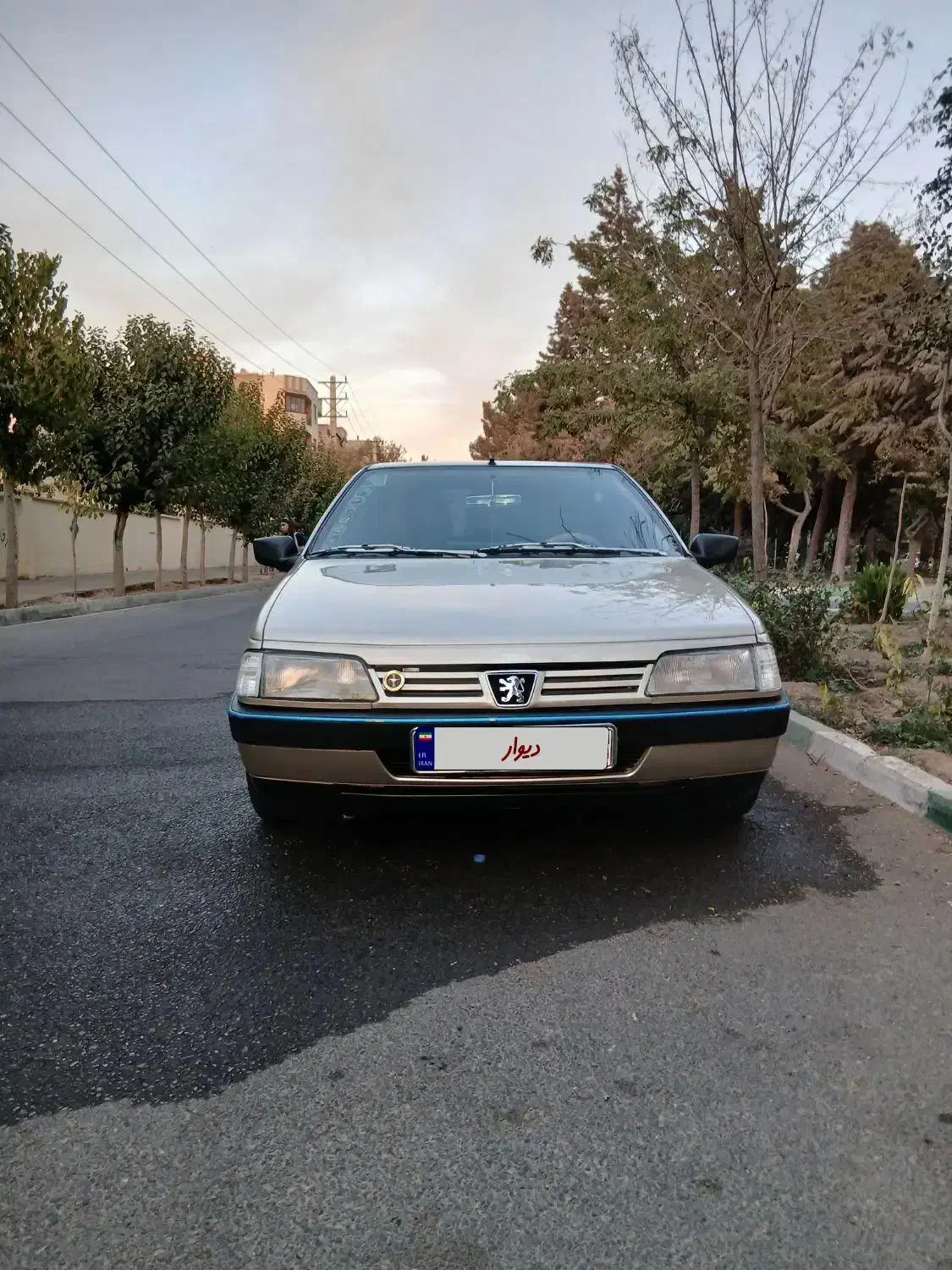 پژو 405 GLX - 1387