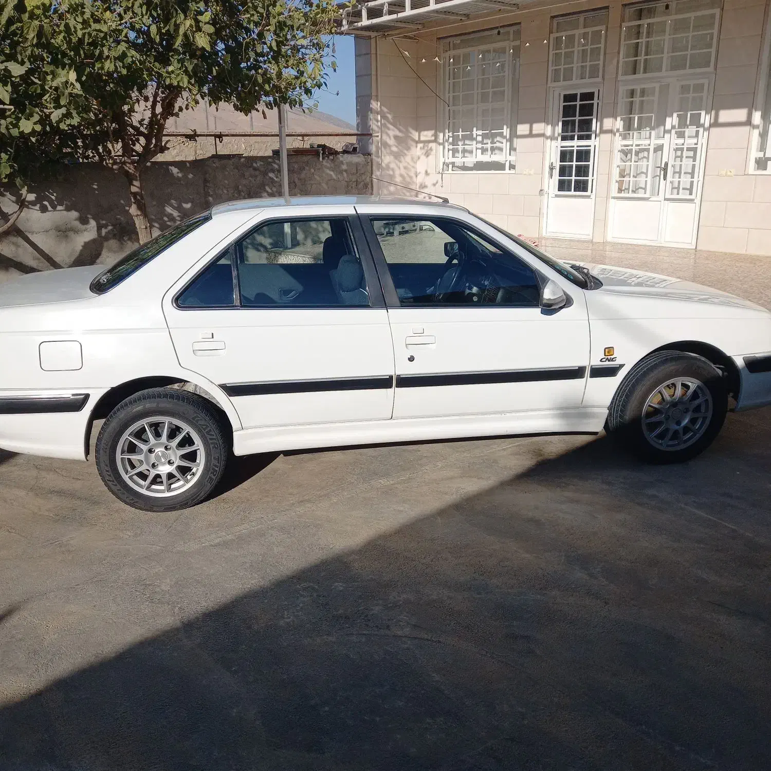 پژو پارس دوگانه سوز - 1389