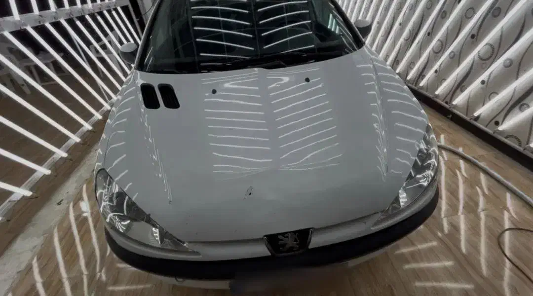 پژو 206 تیپ 2 - 1395