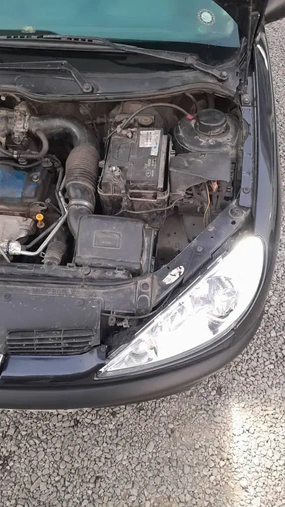 پژو 206 تیپ 2 - 1381