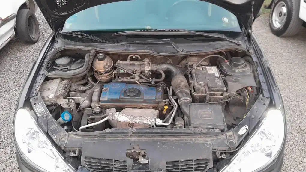 پژو 206 تیپ 2 - 1381