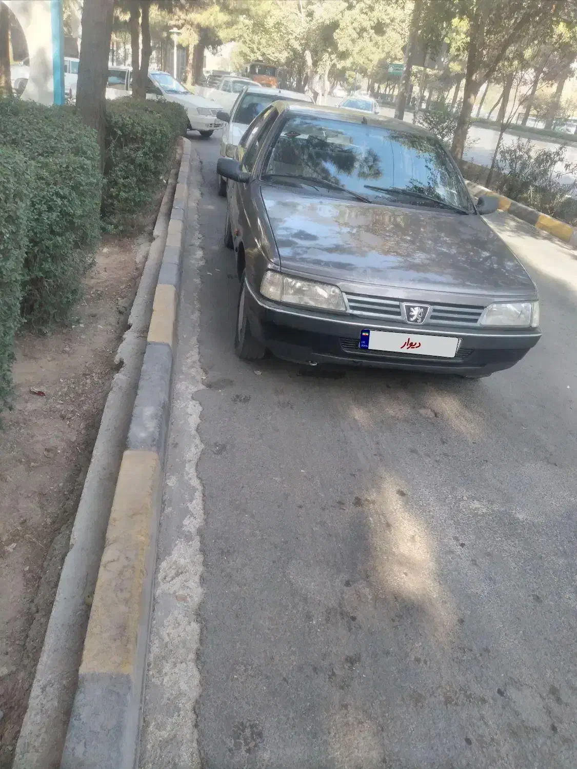 پژو روآ دوگانه سوز - 1387