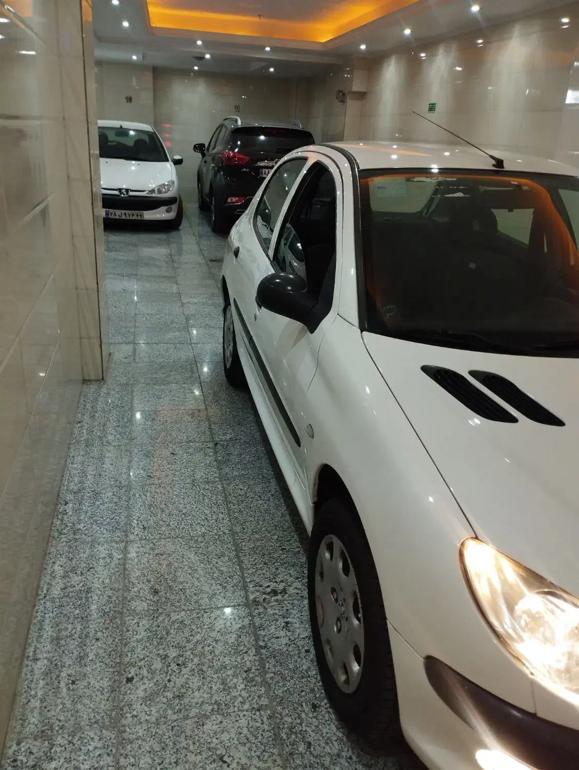 پژو 206 تیپ 2 - 1399