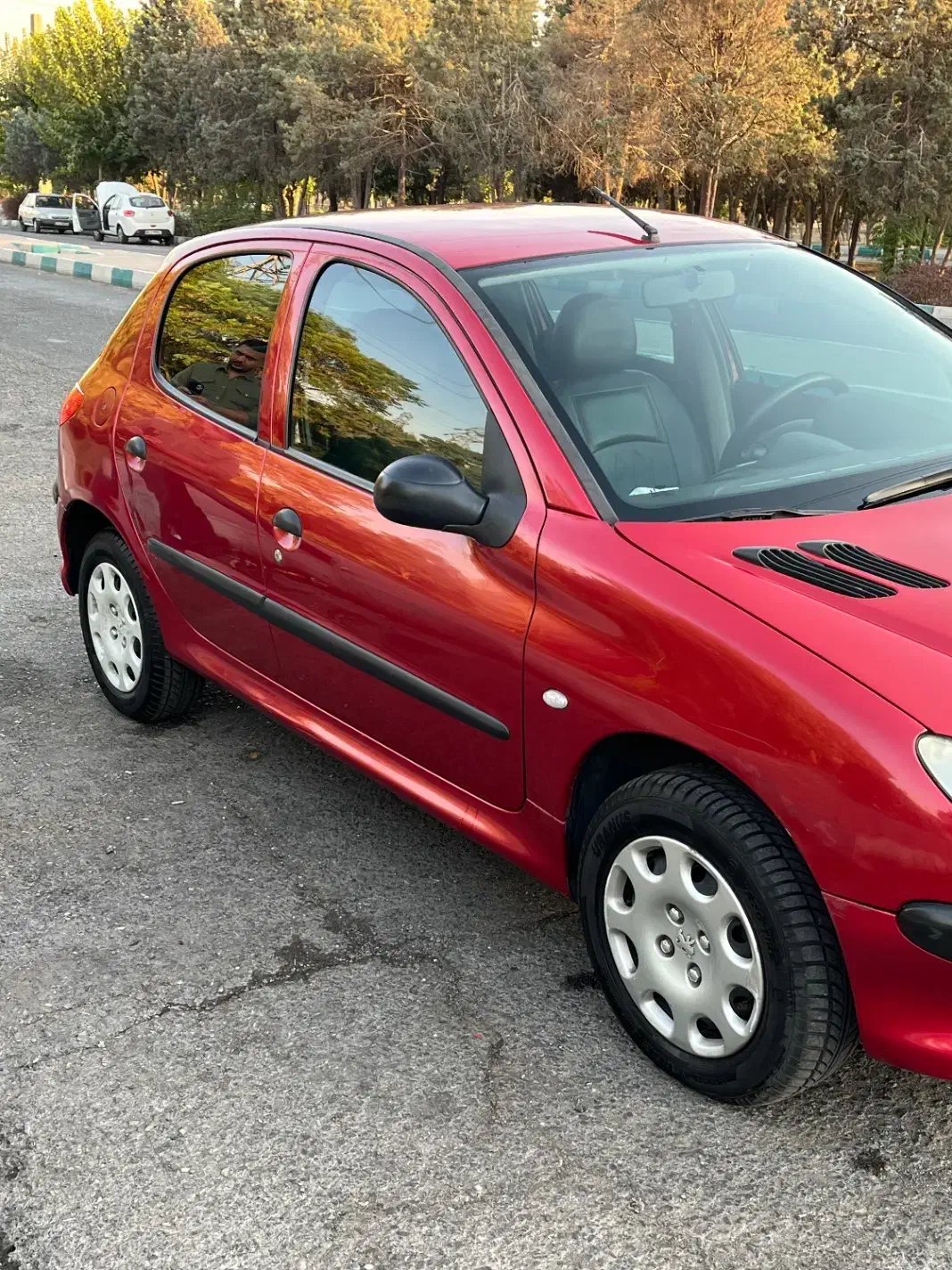 پژو 206 تیپ 2 - 1391