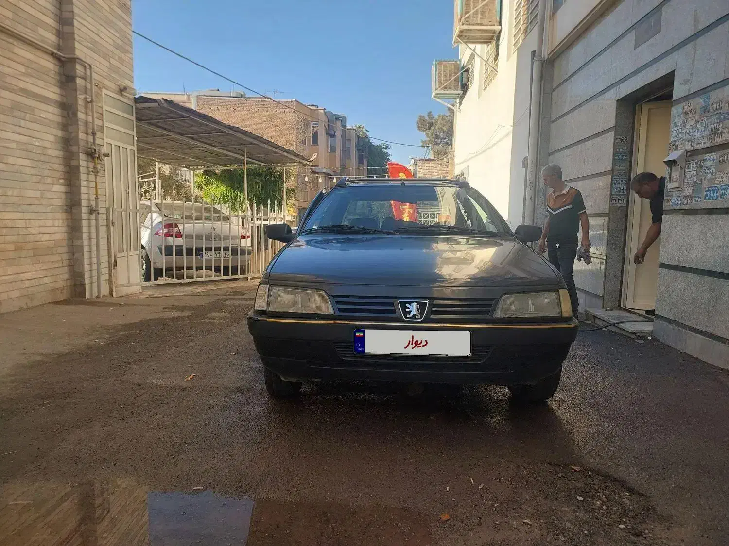 پژو 405 GLX - دوگانه سوز - 1389