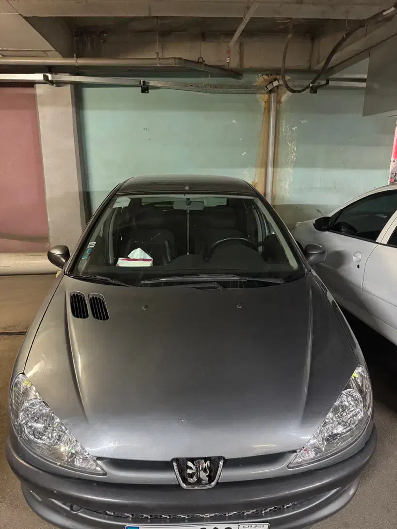 پژو 206 تیپ 2 - 1388