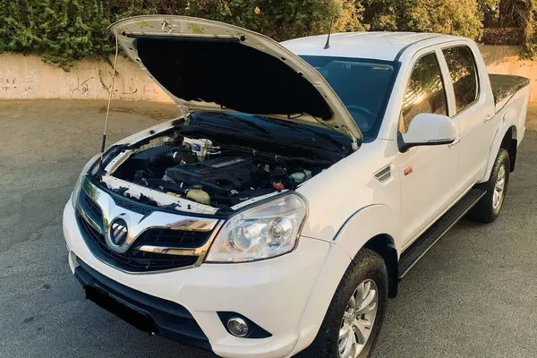 فوتون تونلند پیکاپ دیزلی - 1399