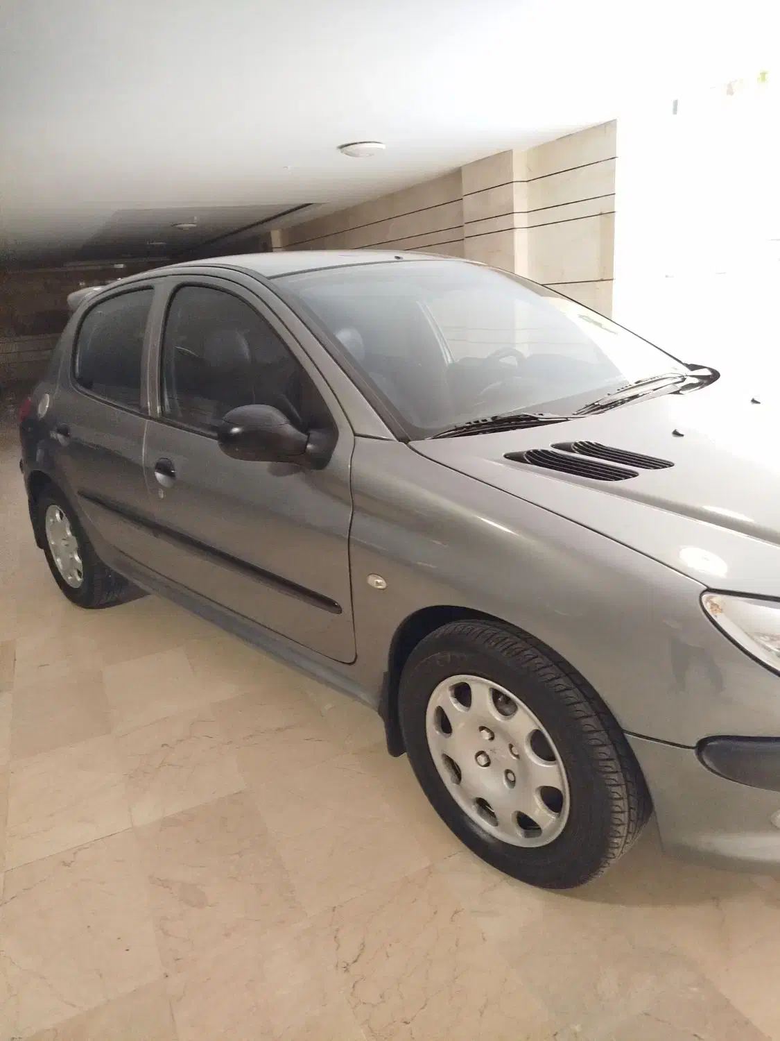 پژو 206 تیپ 5 - 1395