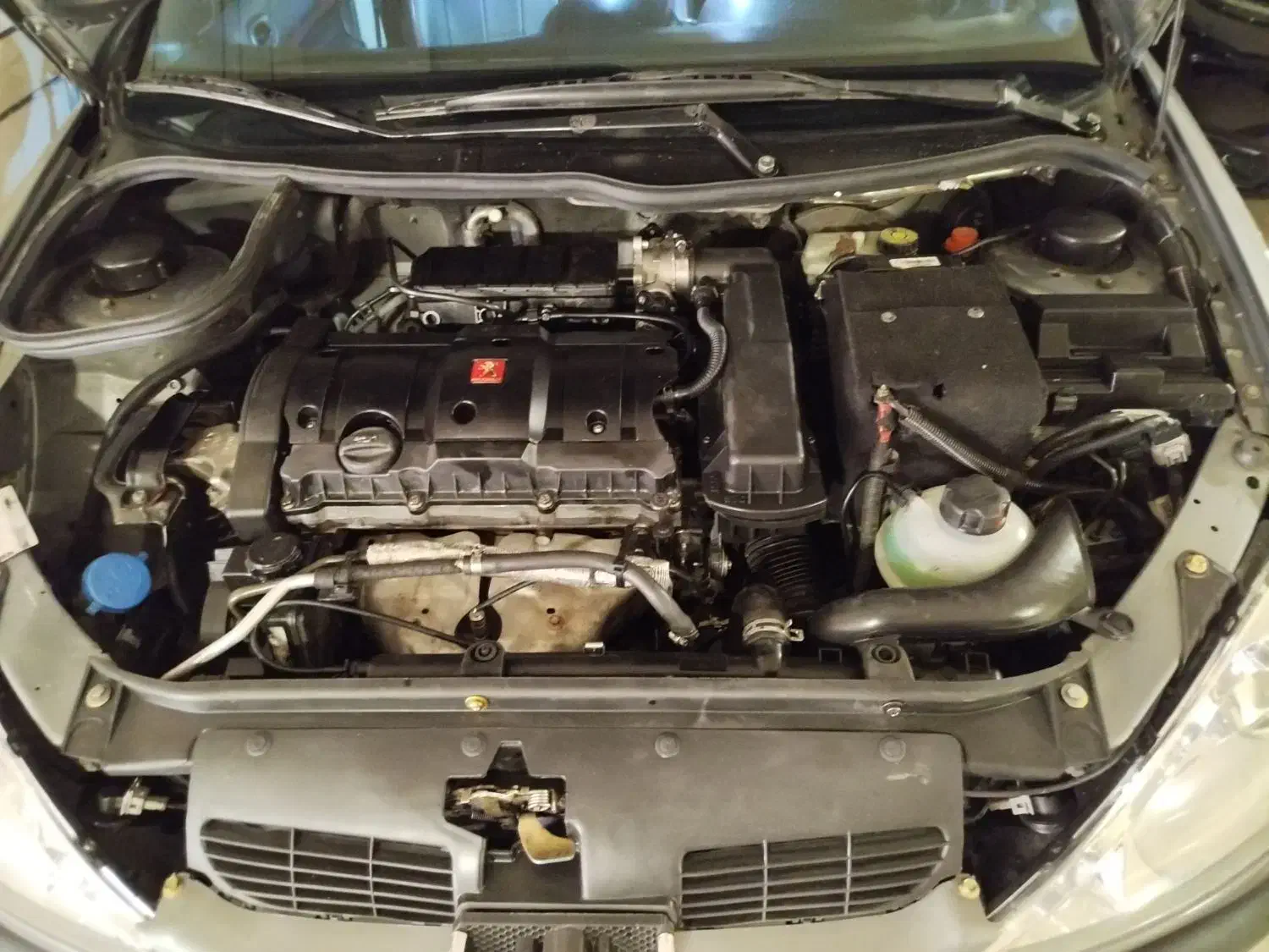 پژو 206 تیپ 5 - 1395