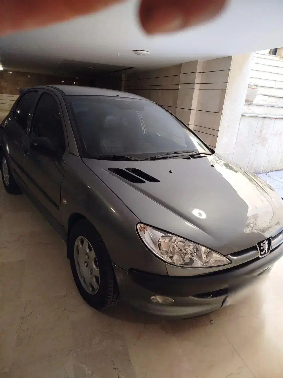 پژو 206 تیپ 5 - 1395