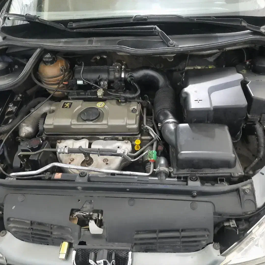 پژو 206 تیپ 2 - 1384