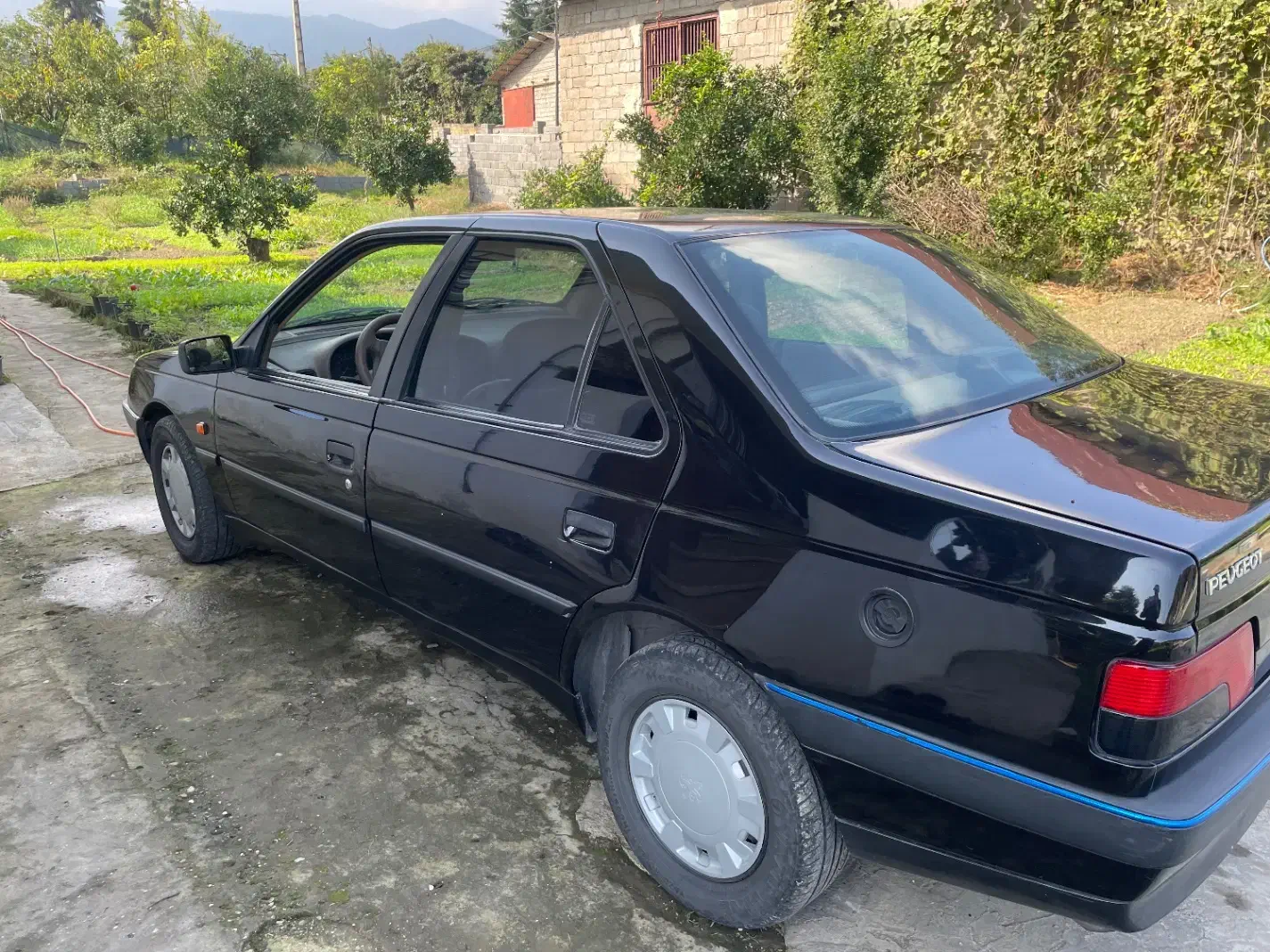 پژو 405 GLX - دوگانه سوز - 1390