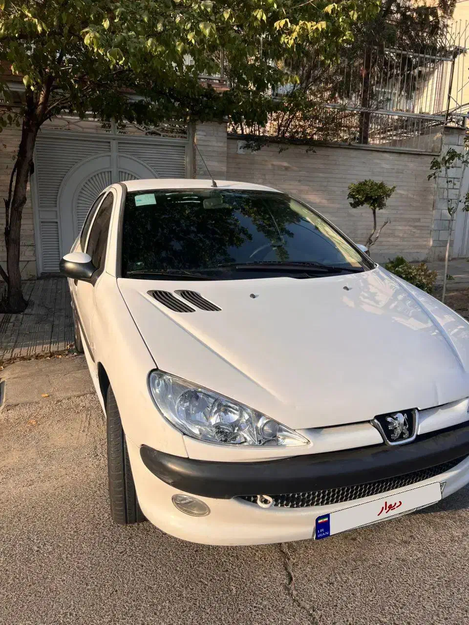 پژو 206 تیپ 2 - 1389