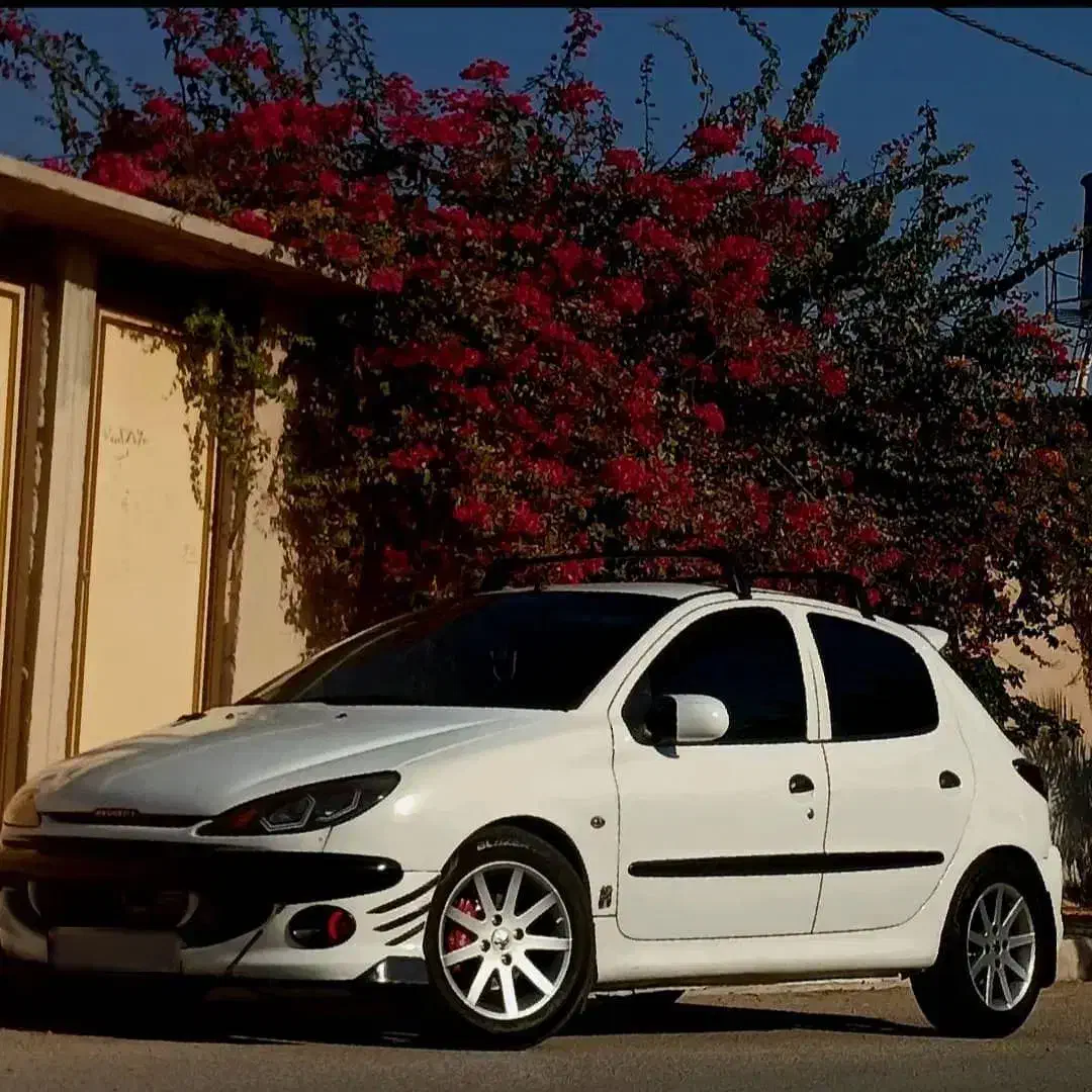 پژو 206 تیپ 6 - 1388