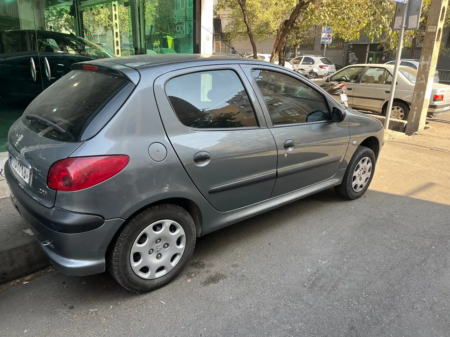 پژو 206 تیپ 2 - 1399