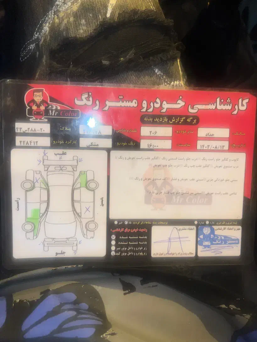 پژو 206 تیپ 2 - 1394