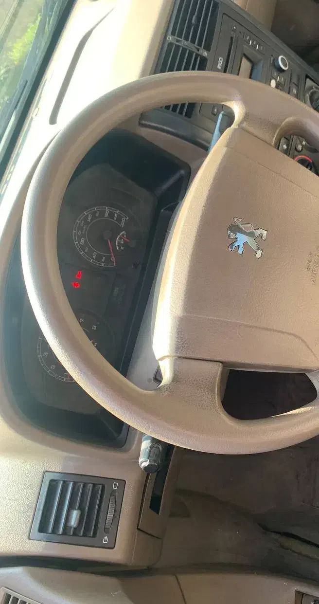 پژو 405 GLX - دوگانه سوز - 1394