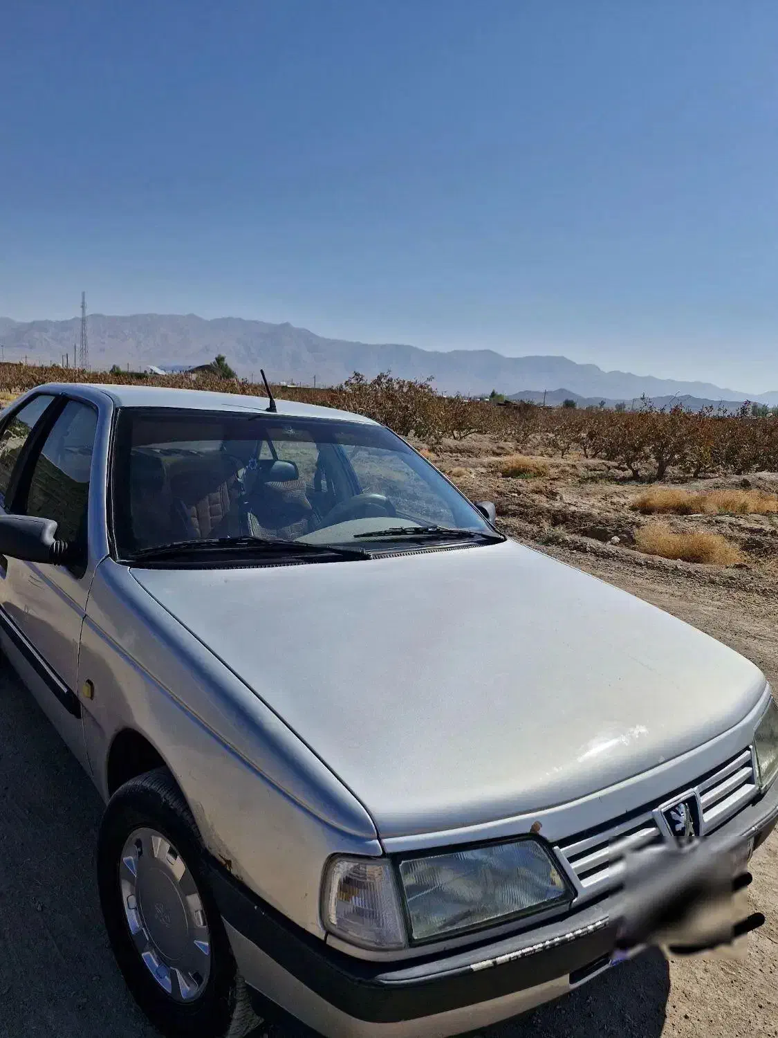 پژو 405 GLX - دوگانه سوز - 1386