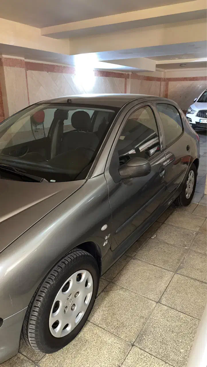 پژو 206 تیپ 5 - 1394