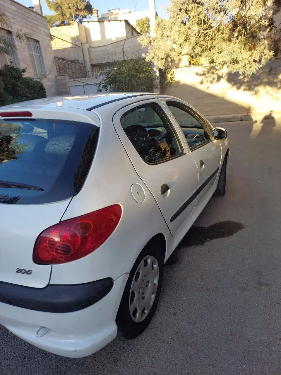 پژو 206 تیپ 5 - 1395