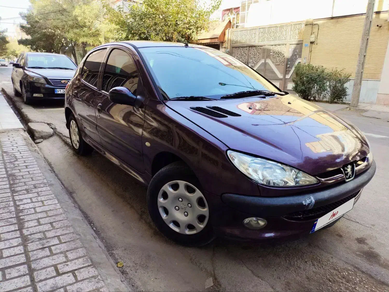 پژو 206 تیپ 5 - 1395