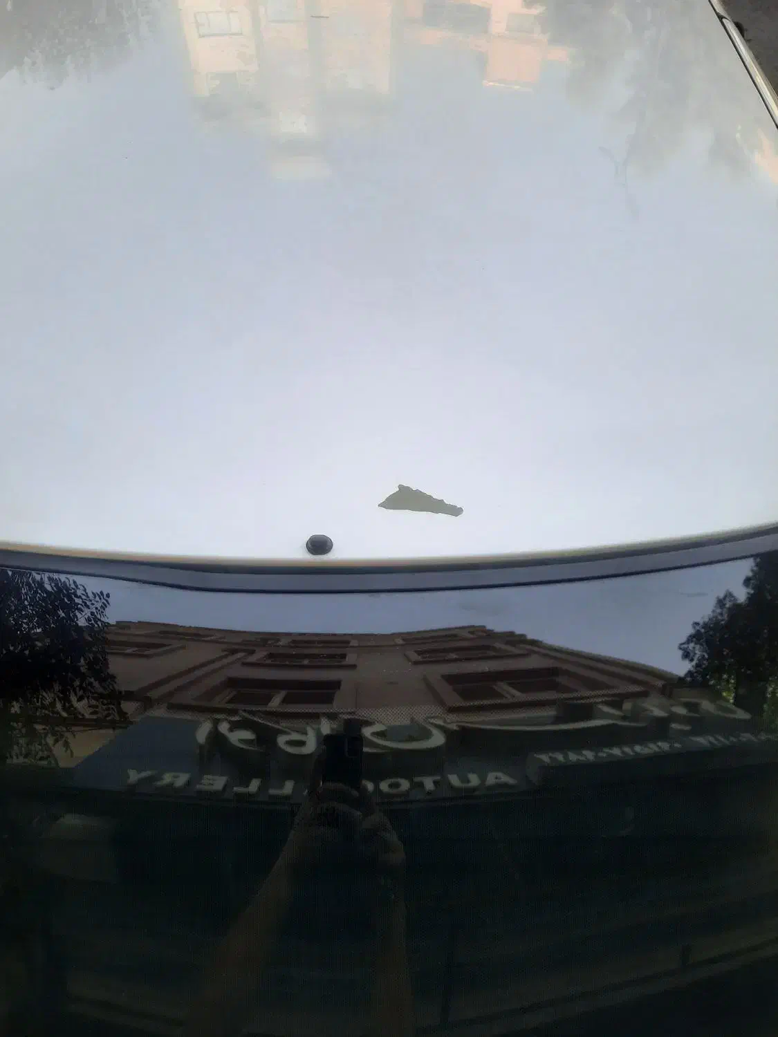 سیتروئن زانتیا SX - 1387