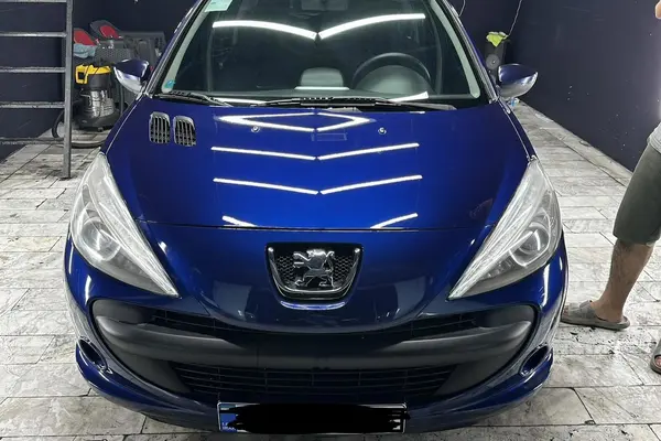 خودرو پژو، 207 آگهی ann_20908463