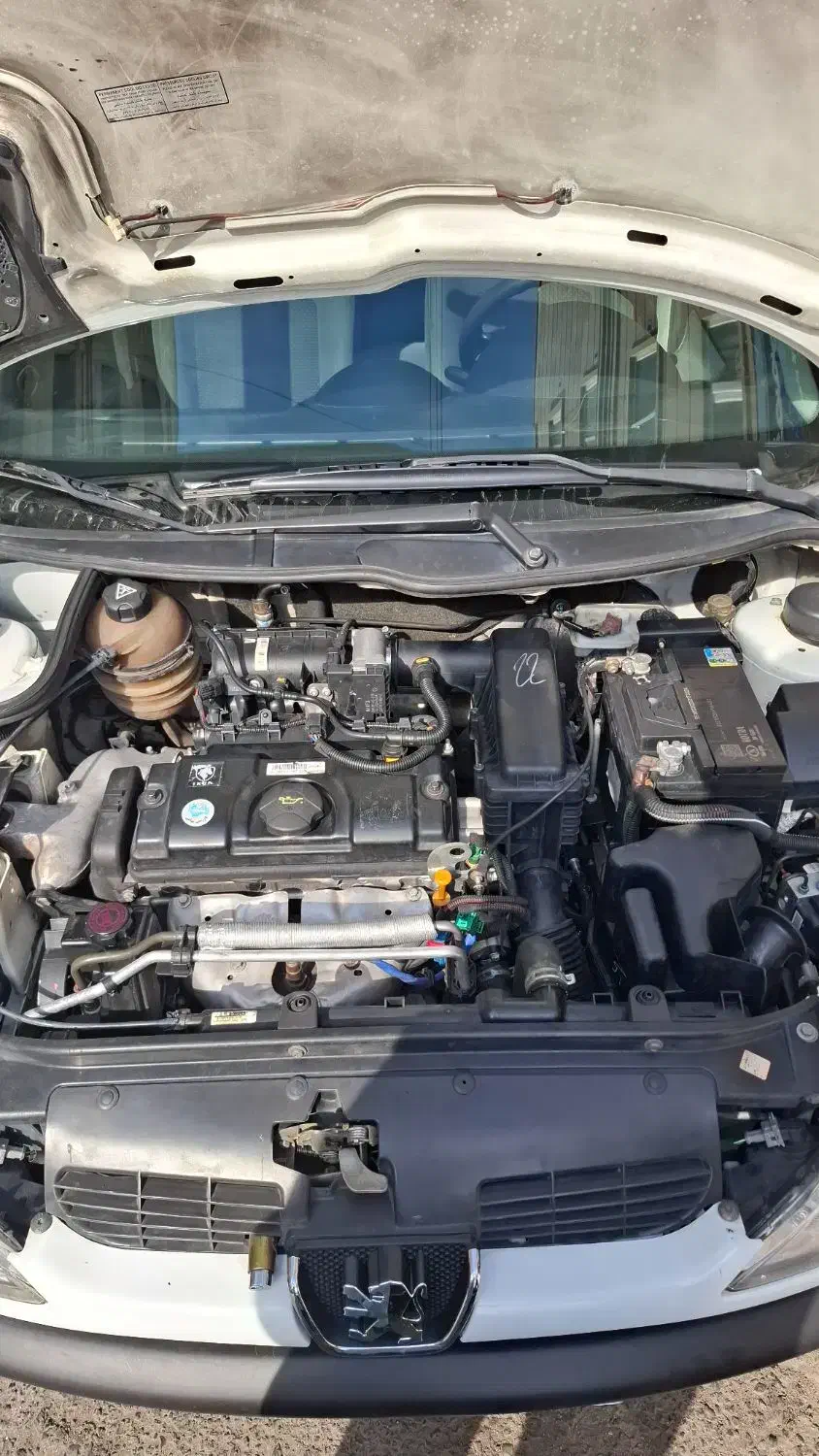 پژو 206 تیپ 2 - 1398