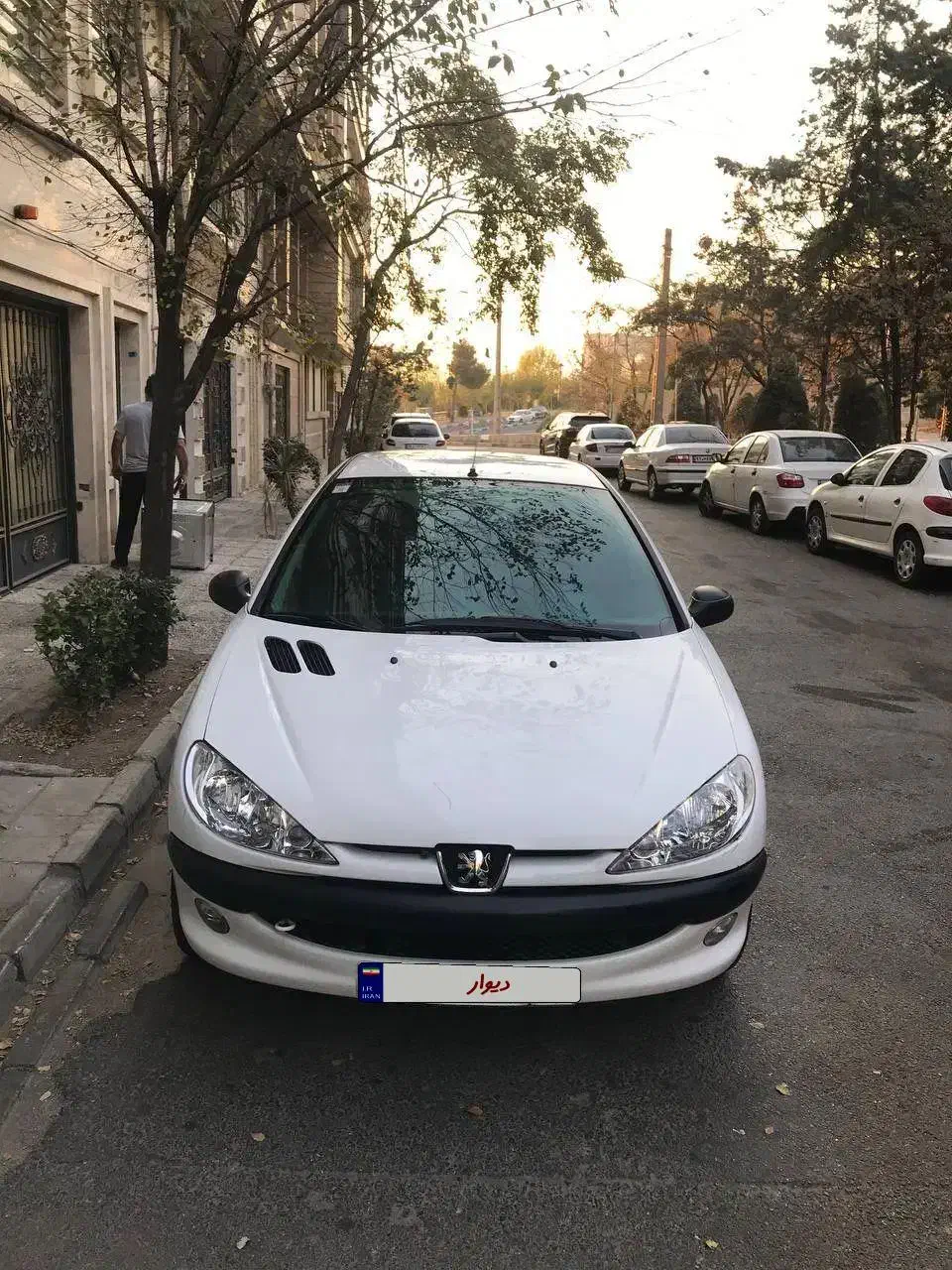 پژو 206 تیپ 2 - 1401