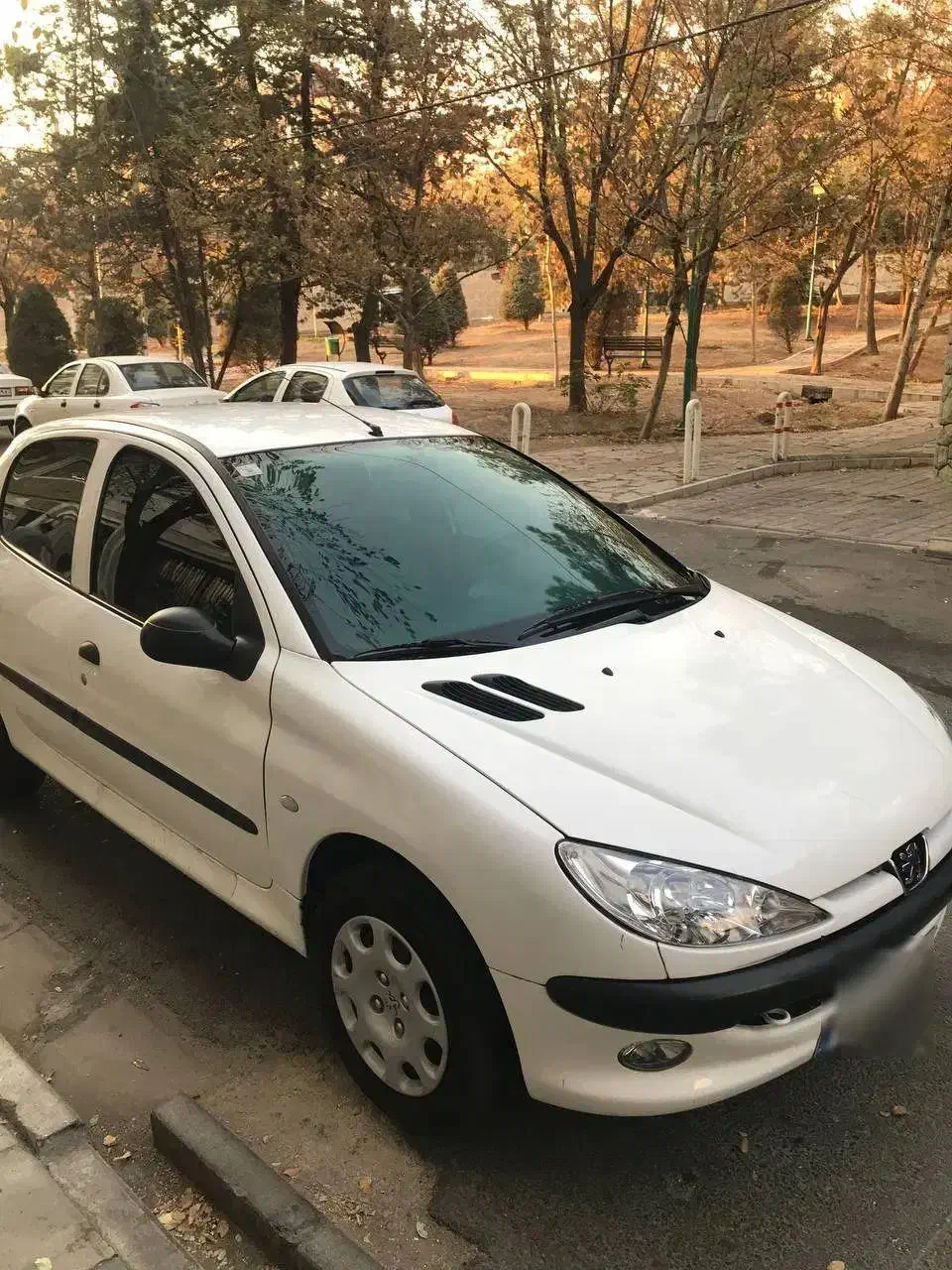 پژو 206 تیپ 2 - 1401