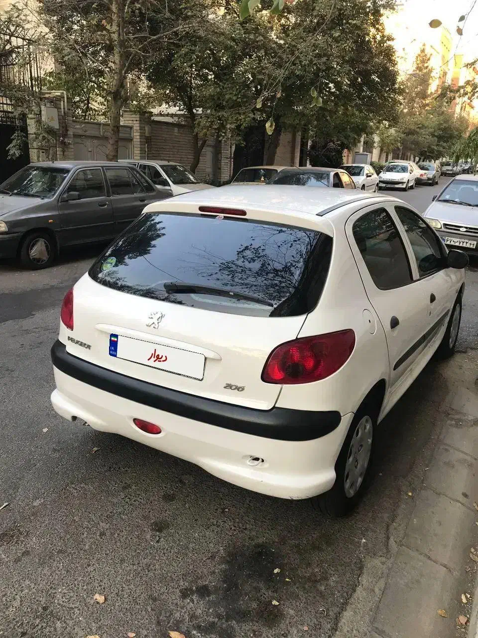 پژو 206 تیپ 2 - 1401
