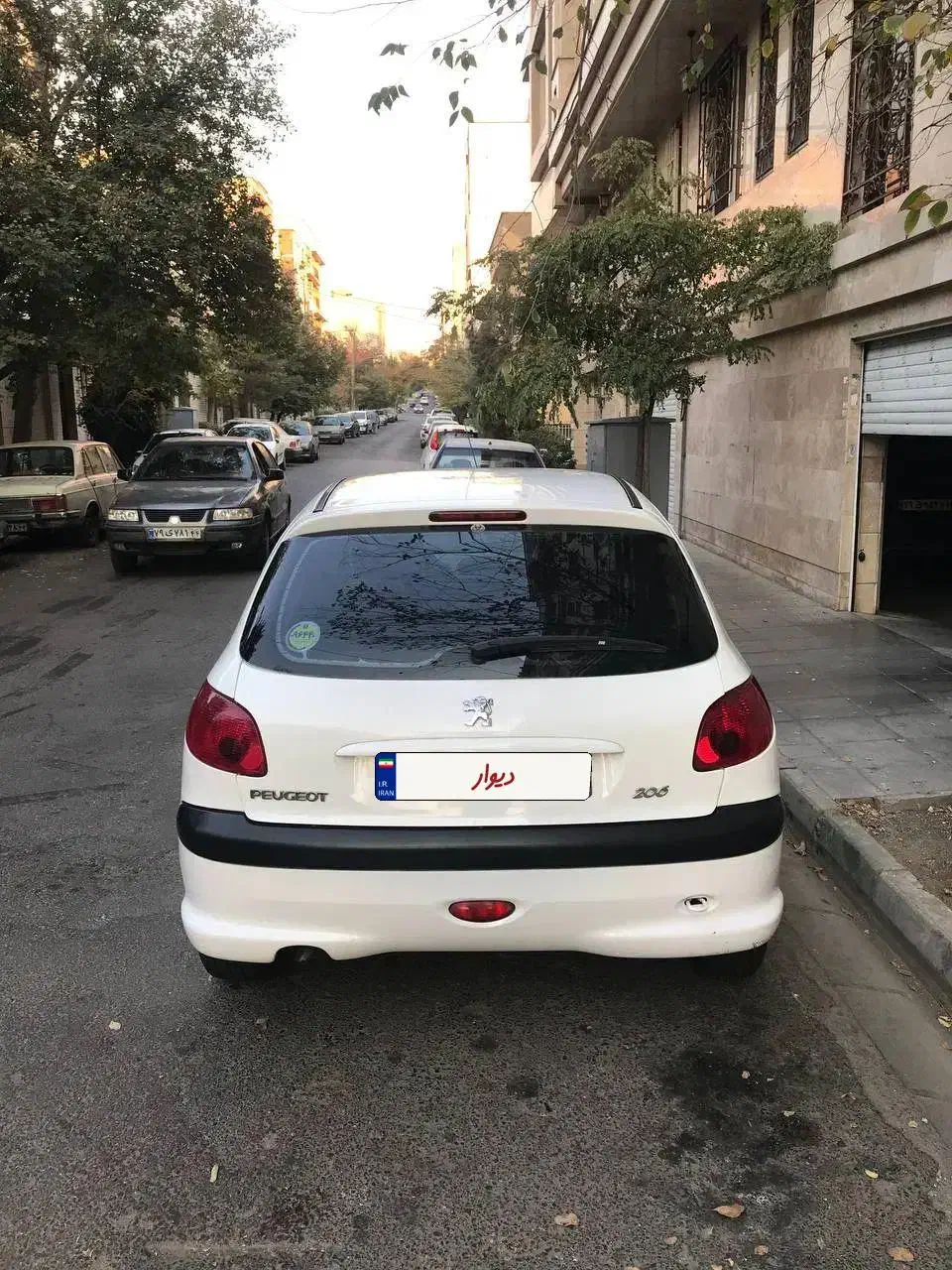 پژو 206 تیپ 2 - 1401