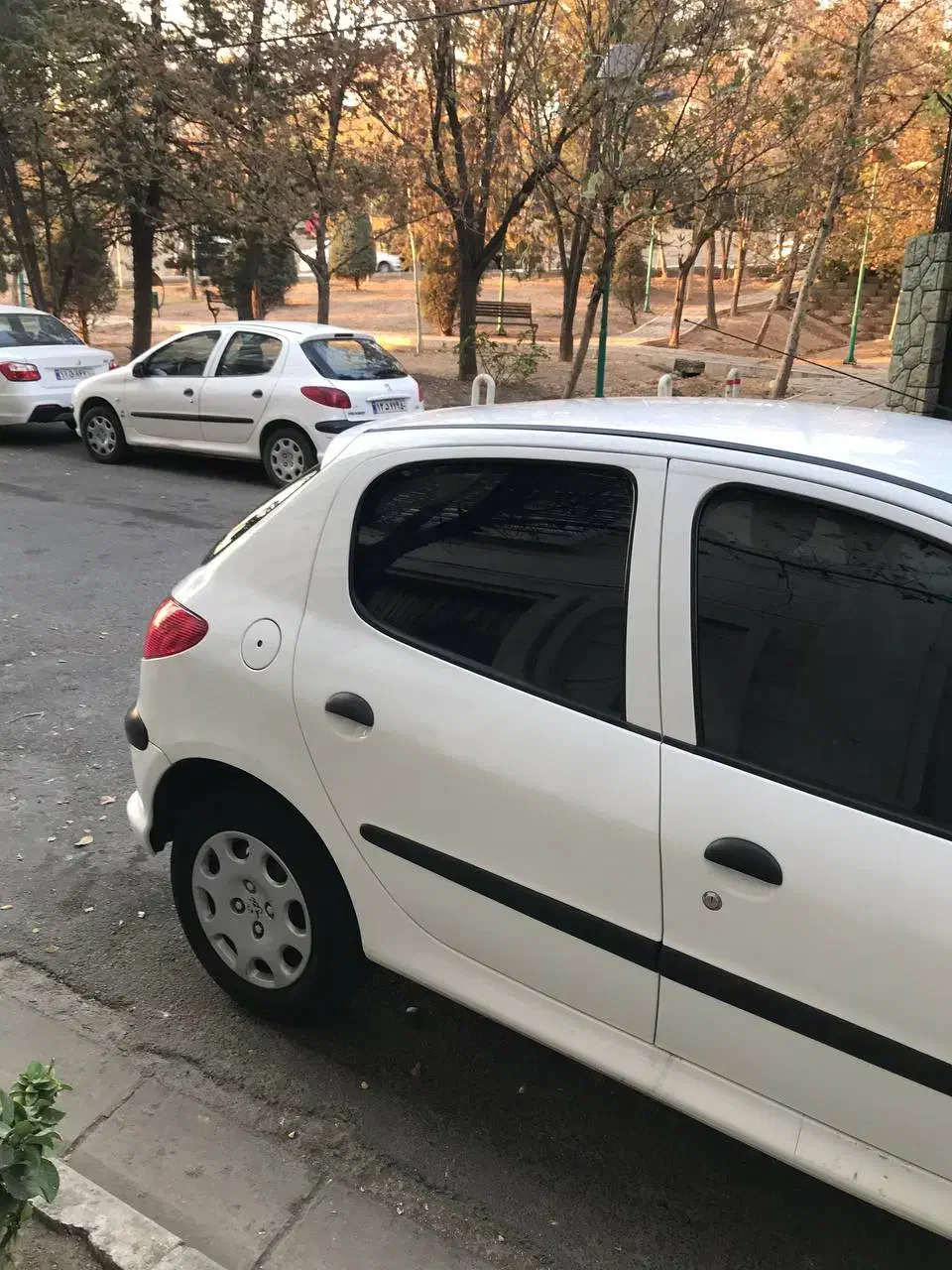 پژو 206 تیپ 2 - 1401