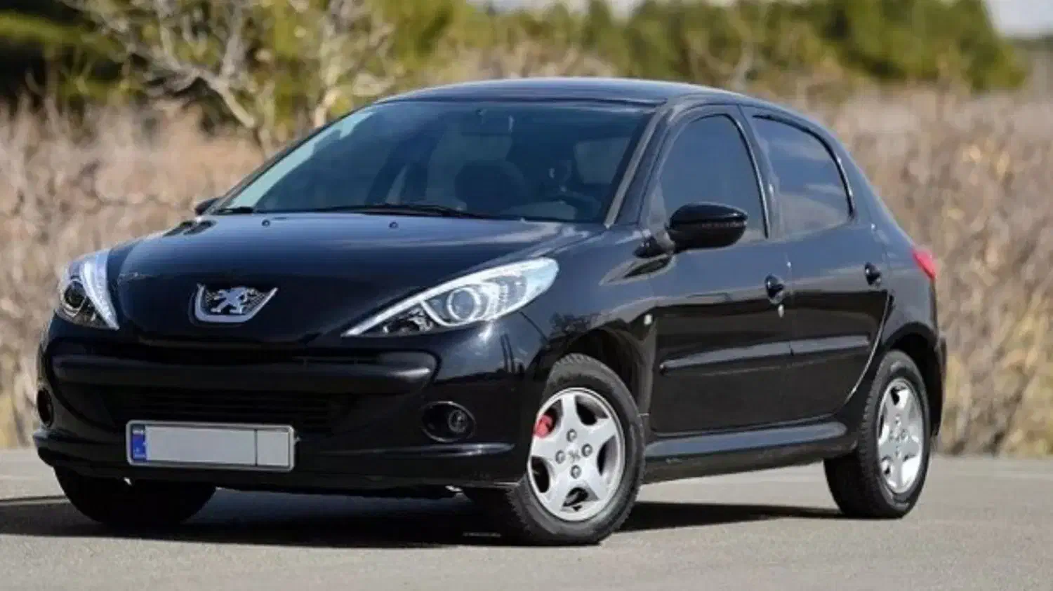 خودرو پژو، 207 آگهی ann_20908865