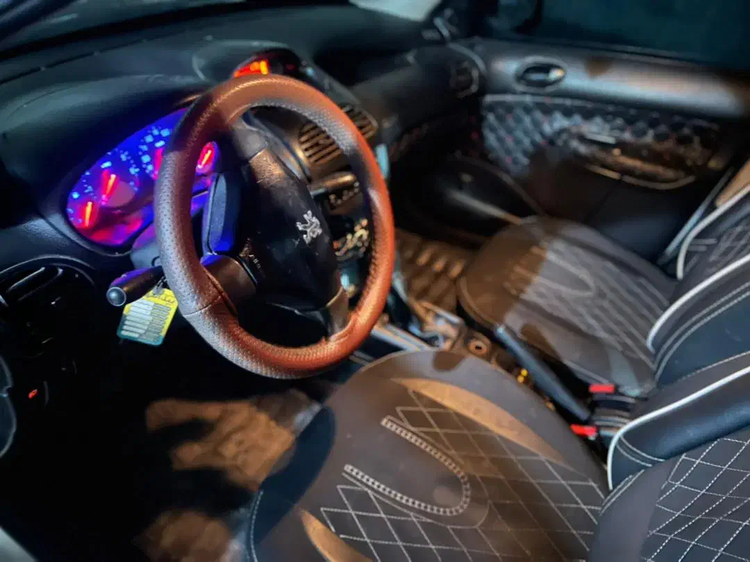 پژو 206 تیپ 3 - 1395